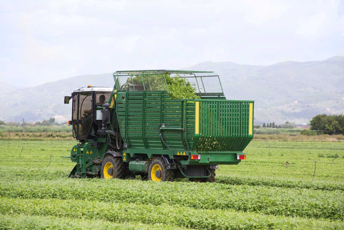 Fixup-Connect-chi-siamo-agricoltura